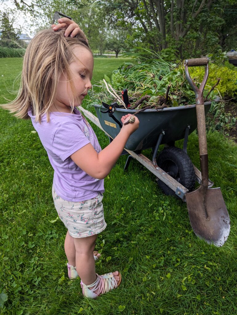 Spring Wprking Spring Work – homespun musings